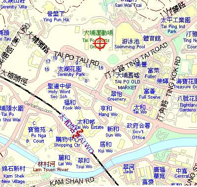 TAI PO SPORTS GROUND